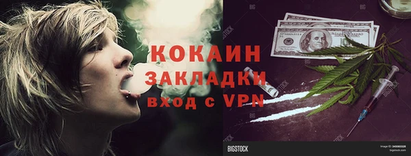 соль ск Лиски