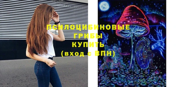 соль ск Лиски