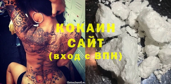 соль ск Лиски