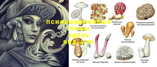 стаф Медвежьегорск