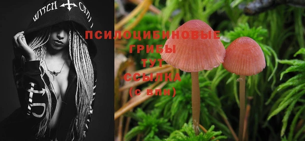 ГАЛЛЮЦИНОГЕННЫЕ ГРИБЫ Братск