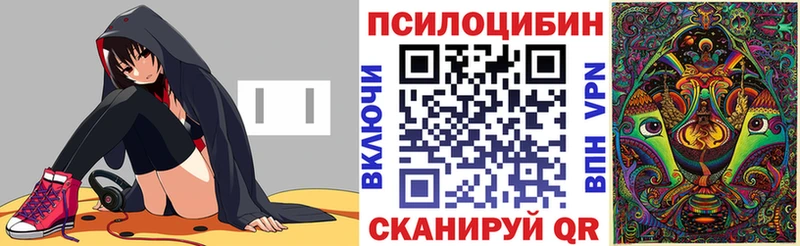 Купить Называевск Галлюциногенные грибы MAGIC MUSHROOMS